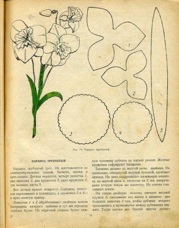 Шаблон лепестков нарцисса