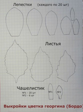 Выкройки цветов георгина