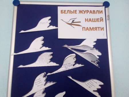 Белые Журавли памяти