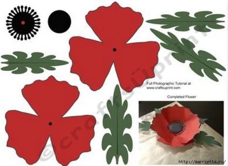 Маки из цветной бумаги
