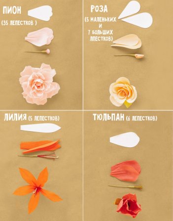 Схемы бумажных цветов
