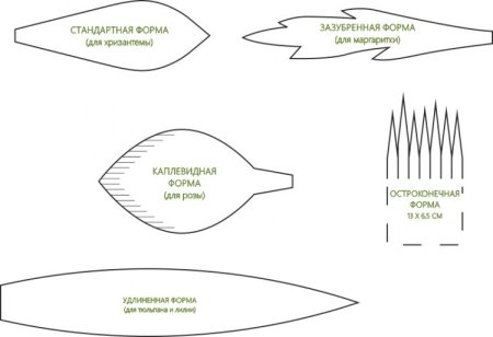 Выкройки цветов из гофрированной бумаги