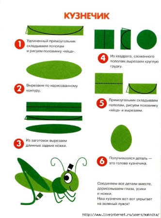 Саранча раскраска