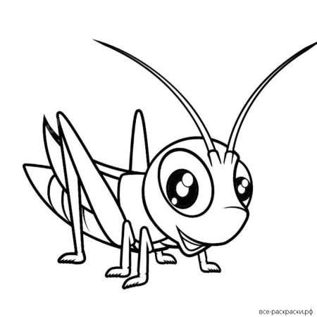 Кузнечик рисунок карандашом