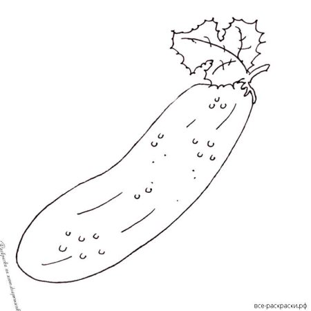 Огурец для срисовки