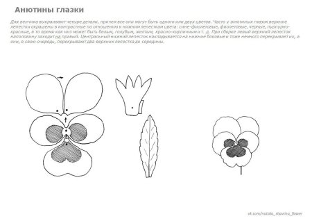 Анютины глазки из фоамирана выкройки