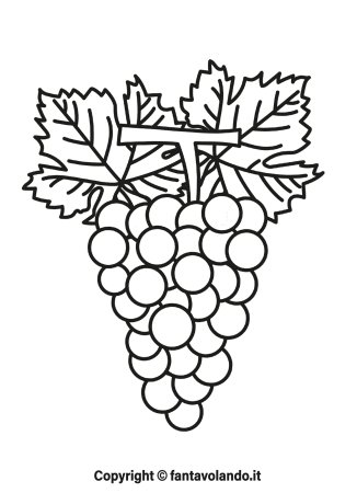 Виноградная кисть