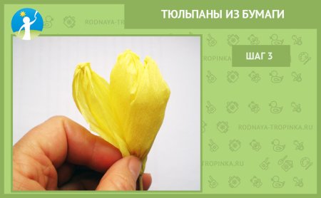 Шаблон для тюльпана из гофрированной бумаги