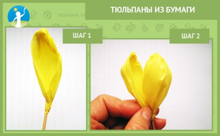 Лепесток тюльпана из гофрированной бумаги