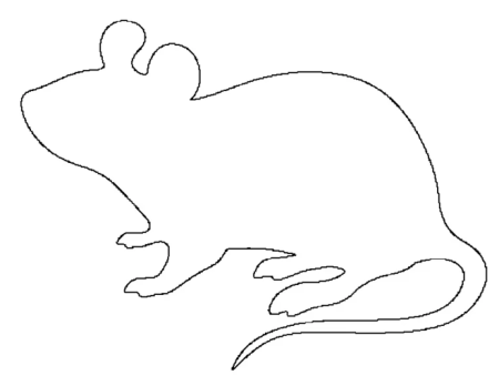 Контуры животных для вырезания