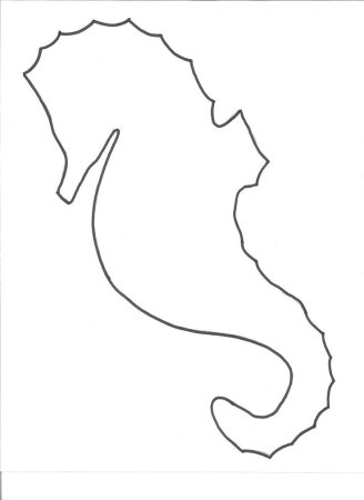 Контуры морскогококька