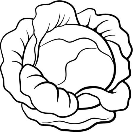 Кочан капусты раскраска