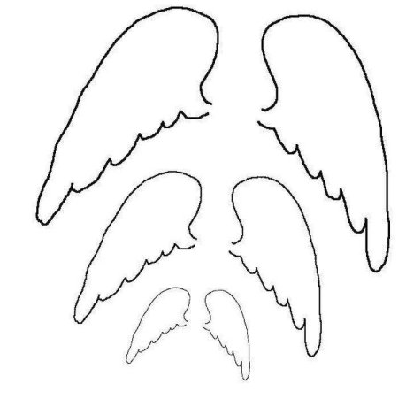 Крыло лекало