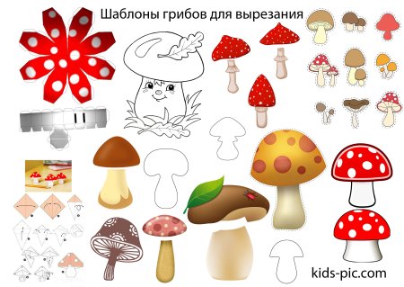 Аппликация грибы