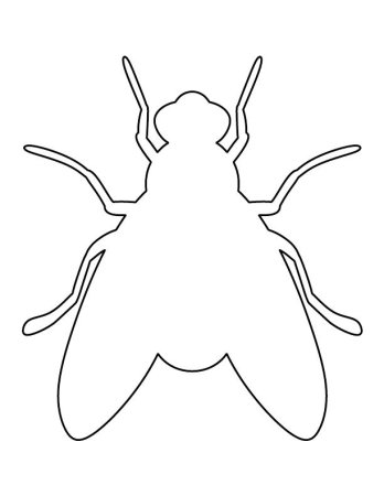 Насекомые контур