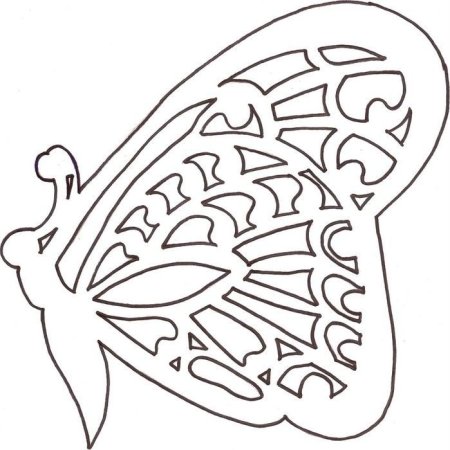 Развертка шара