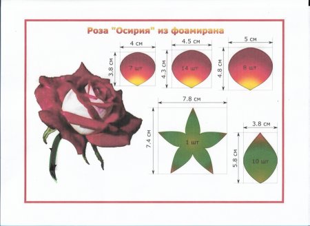 Выкройка лепестков розы