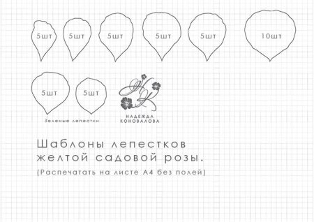 Выкройка лепестка розы