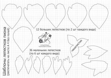 Выкройка пиона из вафельной бумаги