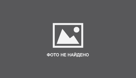 Трафарет свиньи