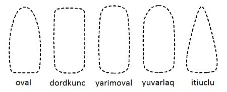Форма ногтей шаблон