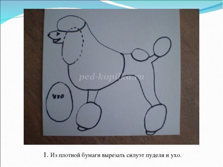Аппликация пудель