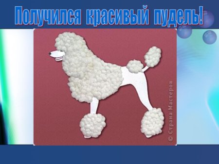 Пудель аппликация из ваты
