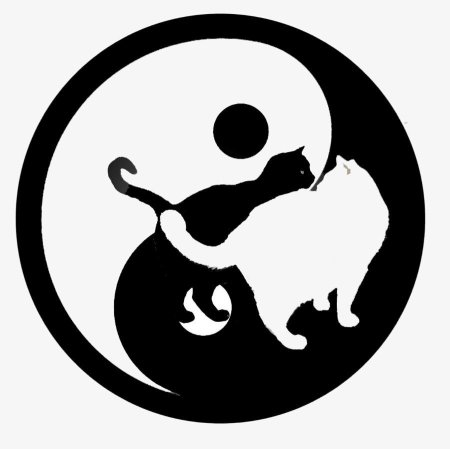 Кот Инь Янь