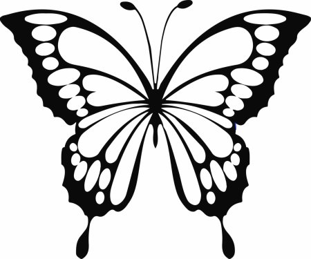 Контуры бабочек для декора