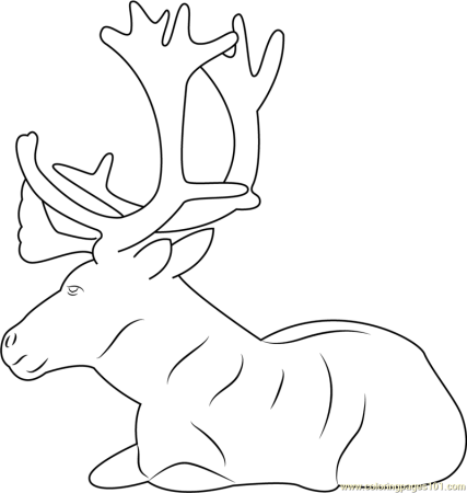 Северный олень трафарет для вырезания