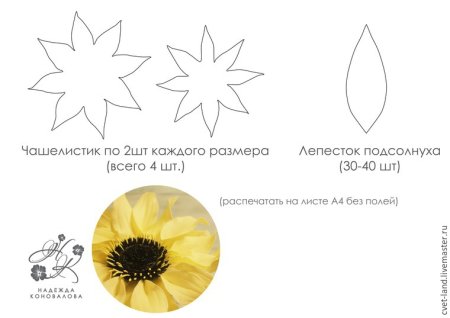 Трафарет лепестков подсолнуха