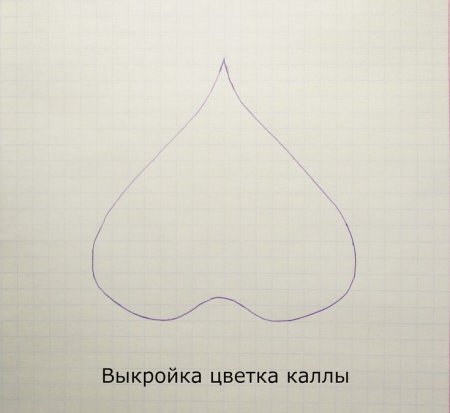 Трафарет цветка каллы