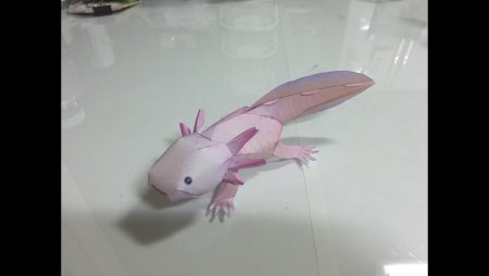 3d аксолотль