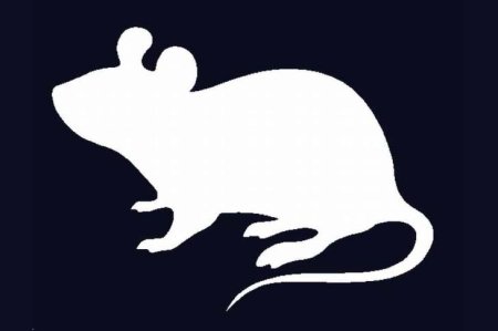 Мышь трафарет для вырезания на окна