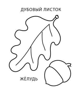 Веселый Желудь раскраска
