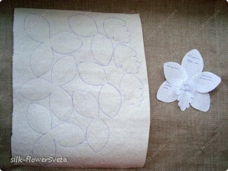 Трафарет для цветов из вафельной бумаги