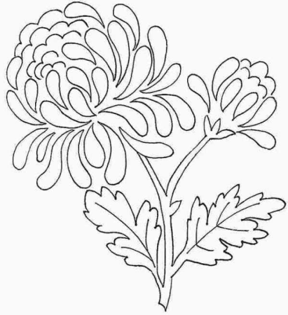 Рисунки цветов для вырезания