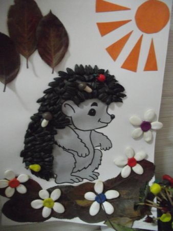 Поделка Ёжик из семечек