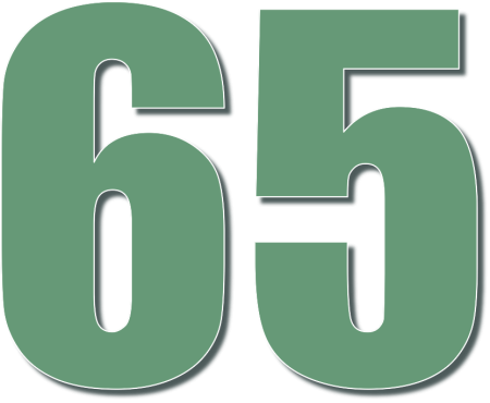 Цифра 265