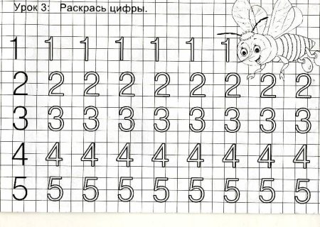 Прописи цифр 1.2.3 для дошкольников