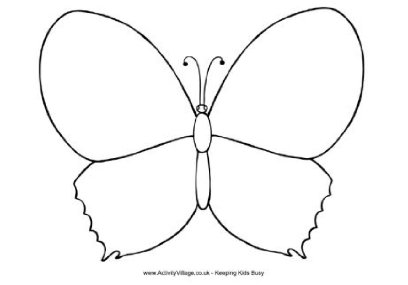 Раскраска бабочка простая