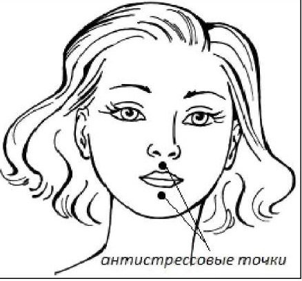 Face Chart для визажистов