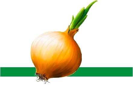 Маски овощей лук