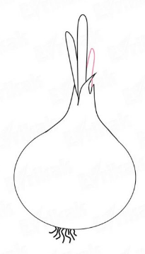Look template