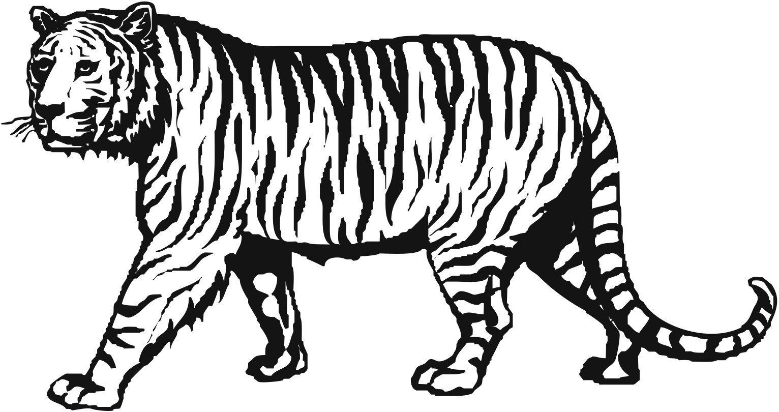 Тигр для разукрашивания на белом фоне