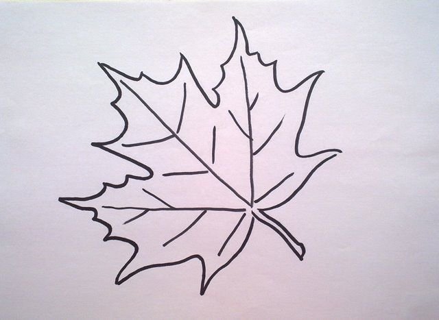 Как можно раскрасить 5 листочков. Листья клена на бумаге. Листик рисунок. Лист клена трафарет. Рисование на кленовых листьях с детьми.