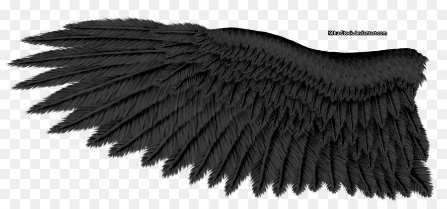 Крыло ворона 1. Крыло птицы. Крылья перья. Черные Крылья. Фактура перьев.