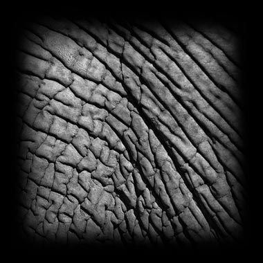Кожа Zbrush Alpha