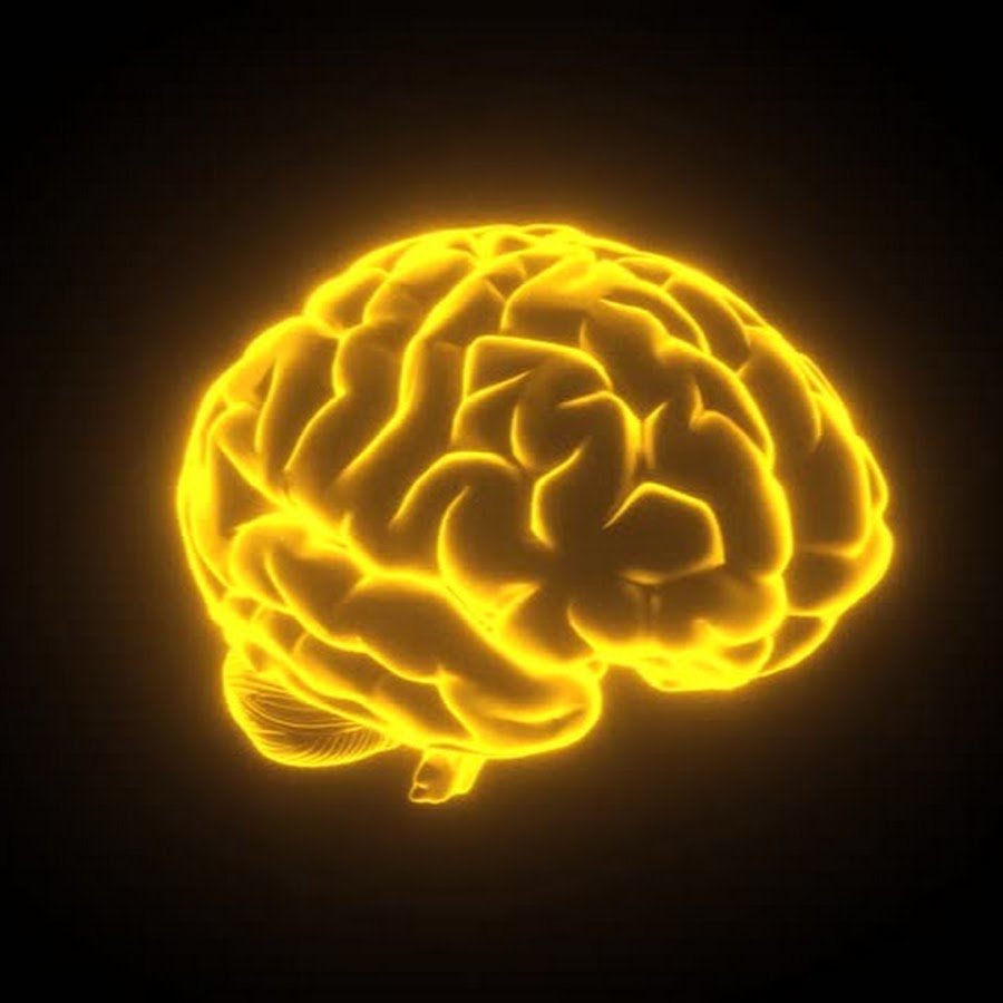 12 brains. Светящийся мозг. Мозг в светящемся черепе.