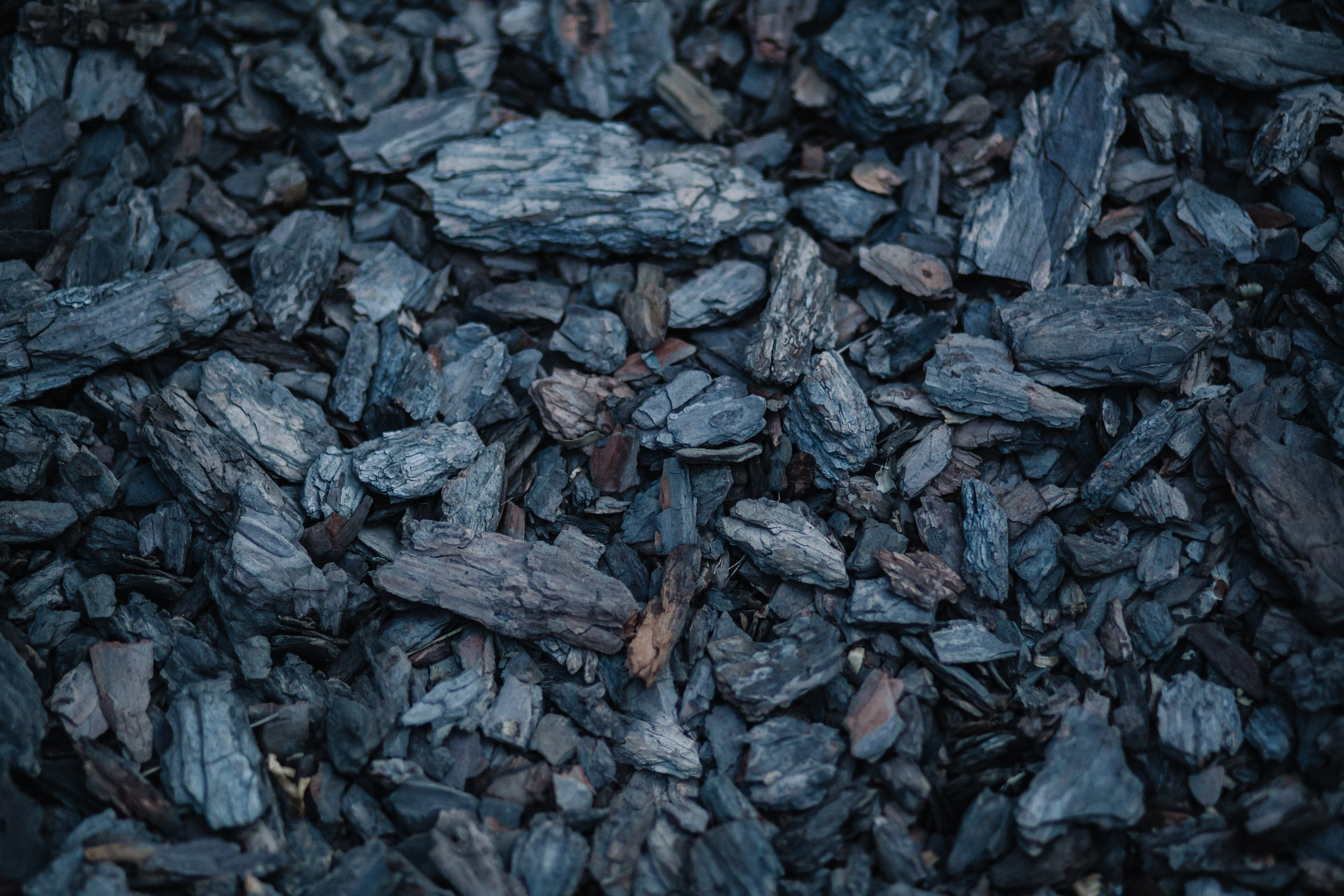 Каменный уголь дерево. Уголь. Каменный уголь. Текстура угля. Каменный уголь текстура.